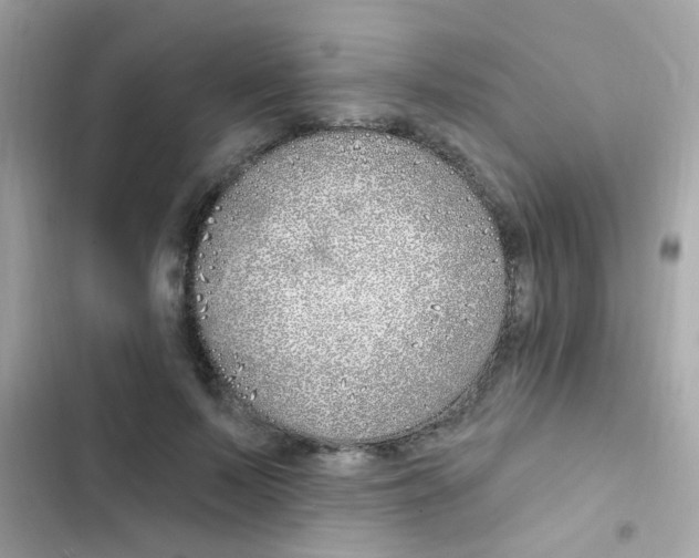 X0000103170695200809192117