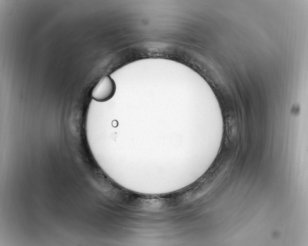 X0000103170698200809192117