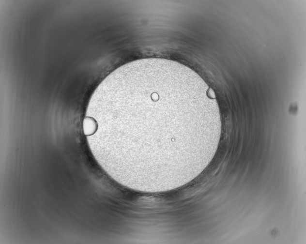 X0000103170699200809192117