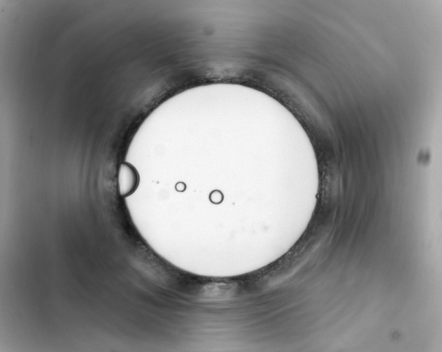 X0000103170700200809192117