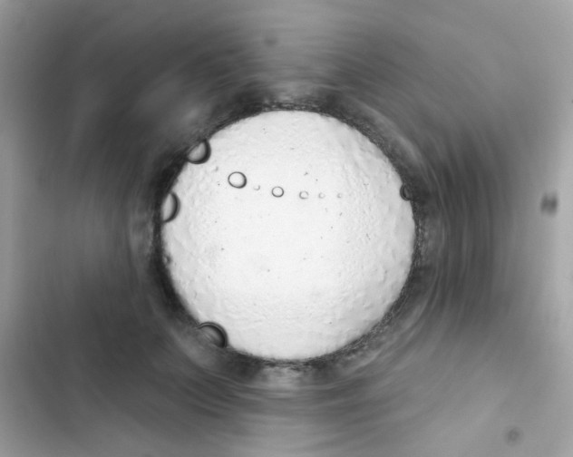 X0000103170703200809192117