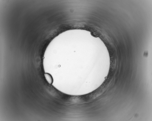 X0000103170704200809192117