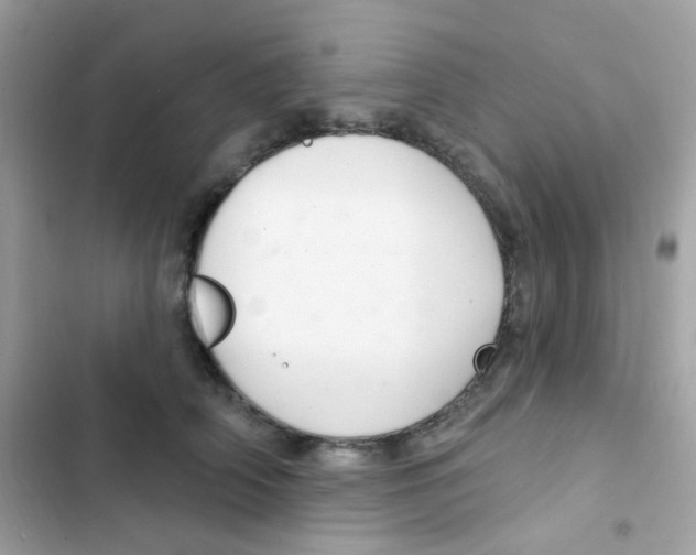 X0000103170706200809192117