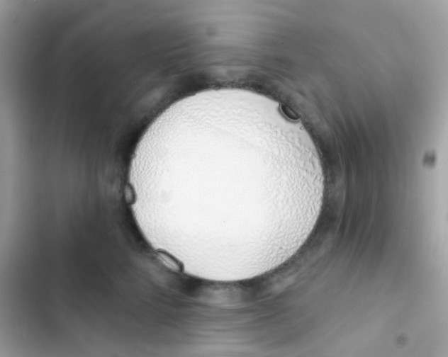 X0000103170712200809192117