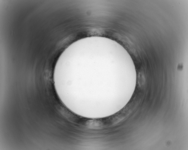 X0000103170714200809192117