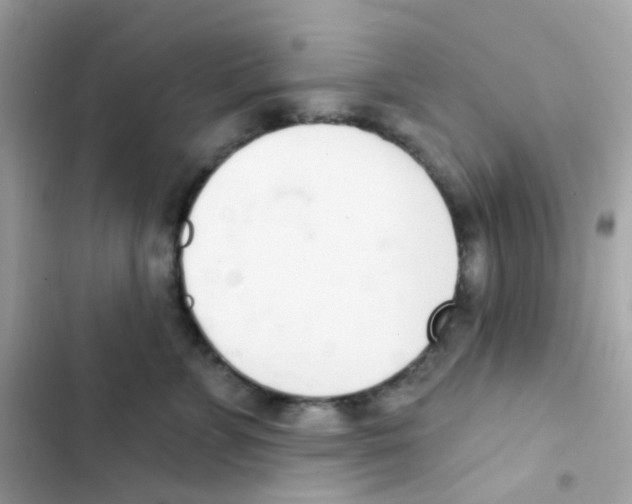 X0000103170715200809192117