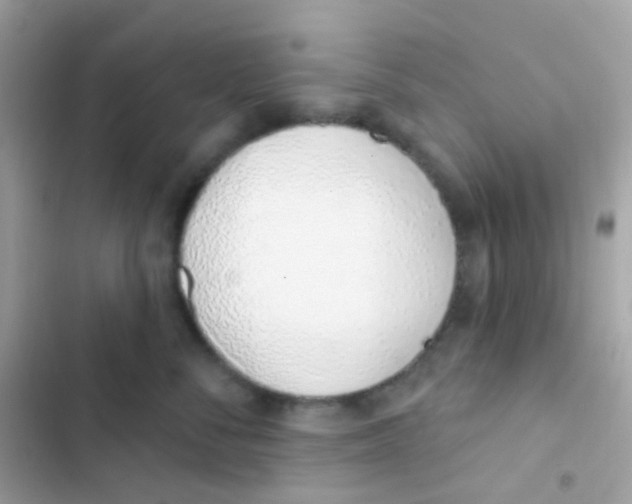 X0000103170716200809192117