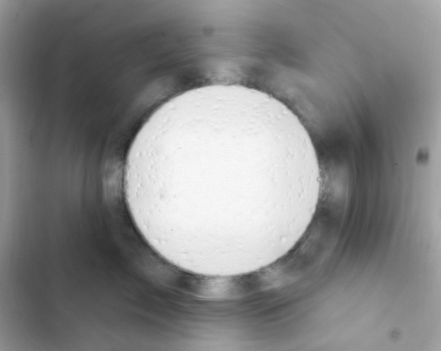 X0000103170717200809192117