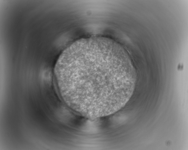 X0000103170720200809192117