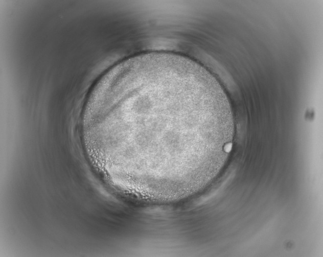 X0000103170721200809192116