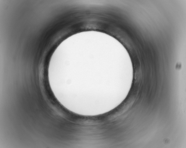 X0000103170722200809192116