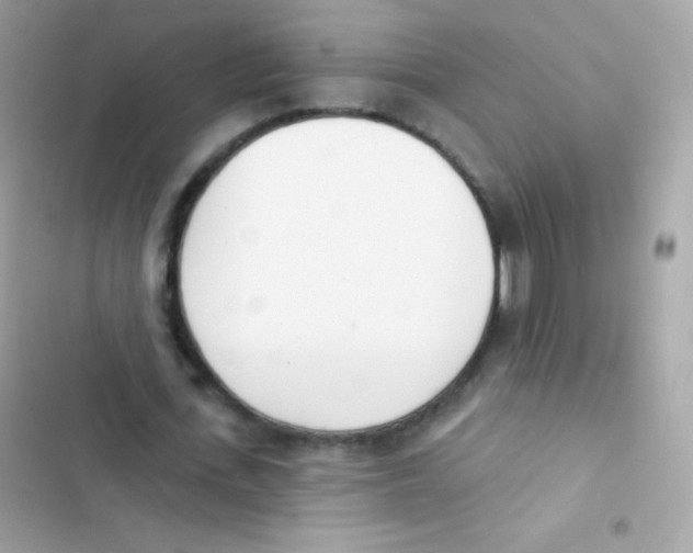 X0000103170723200809192116