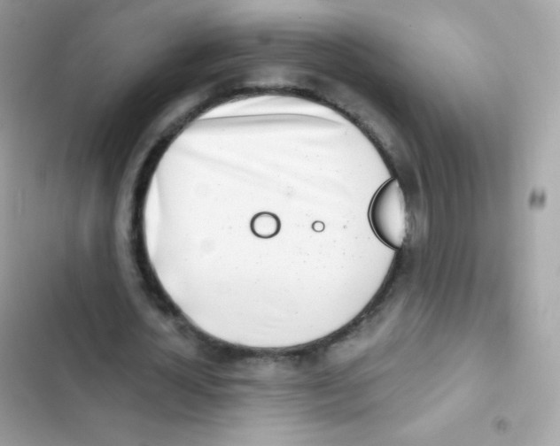 X0000103170724200809192116