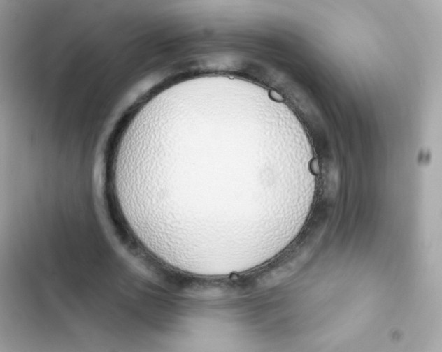 X0000103170726200809192116