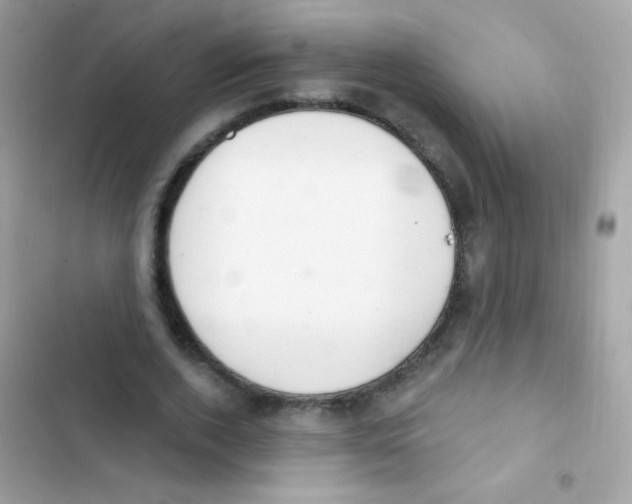 X0000103170728200809192116