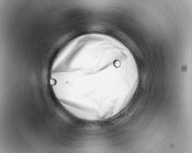 X0000103170729200809192116