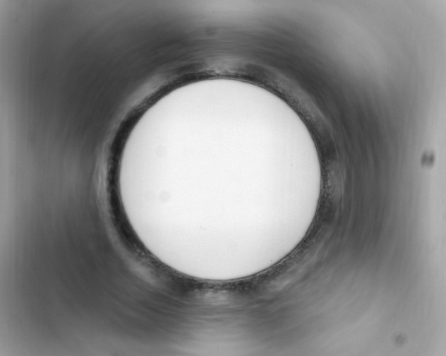 X0000103170730200809192116