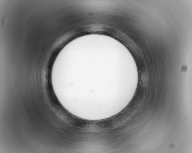 X0000103170732200809192116