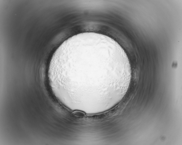 X0000103170733200809192116