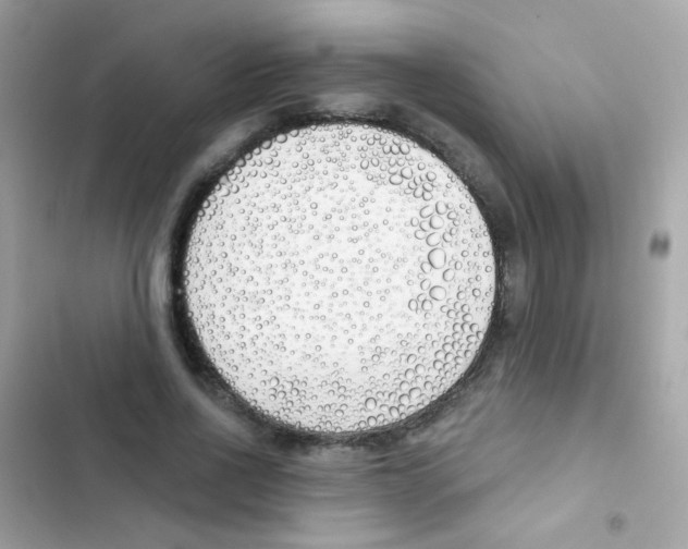 X0000103170734200809192116