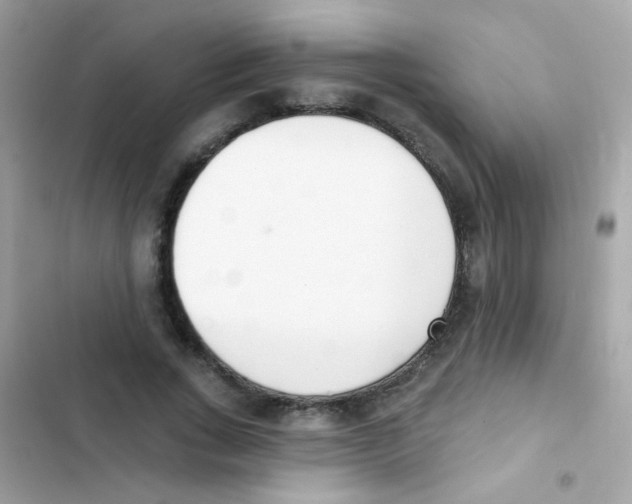 X0000103170735200809192116