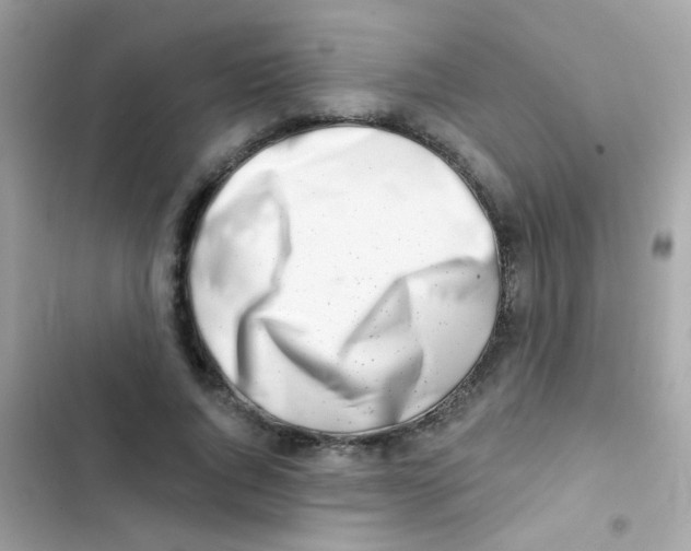 X0000103170736200809192116