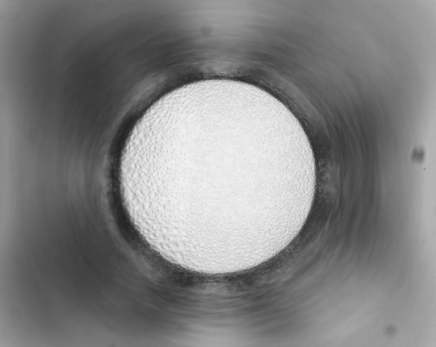 X0000103170738200809192116