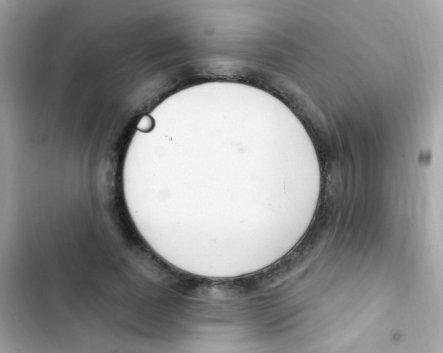 X0000103170739200809192116