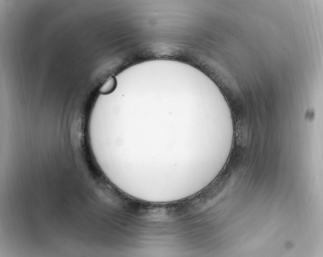 X0000103170740200809192116