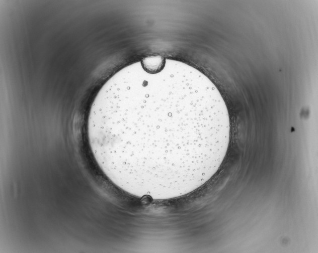 X0000103170742200809192116