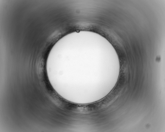 X0000103170744200809192116