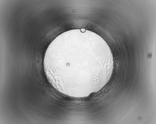 X0000103170745200809192116