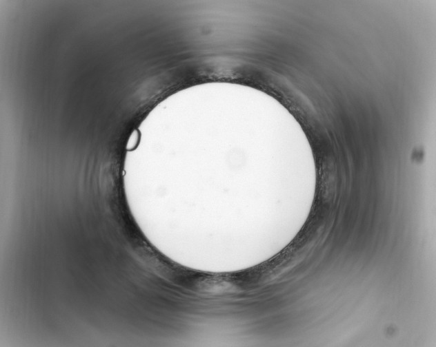 X0000103170747200809192116