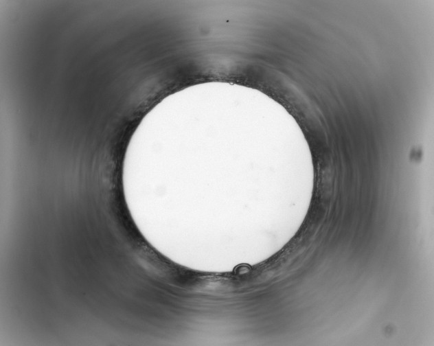 X0000103170750200809192116