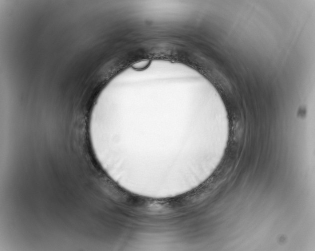 X0000103170753200809192116