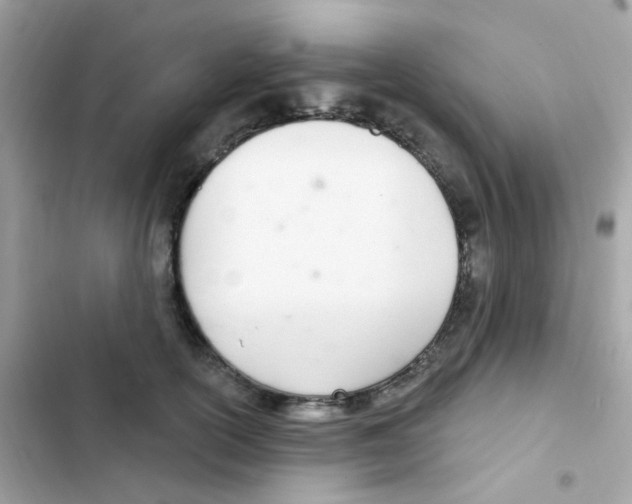 X0000103170754200809192116