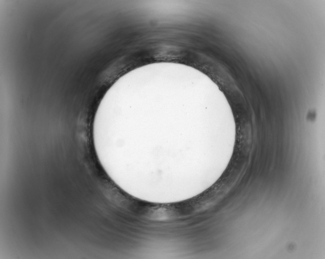 X0000103170755200809192116