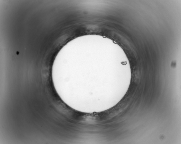 X0000103170756200809192116