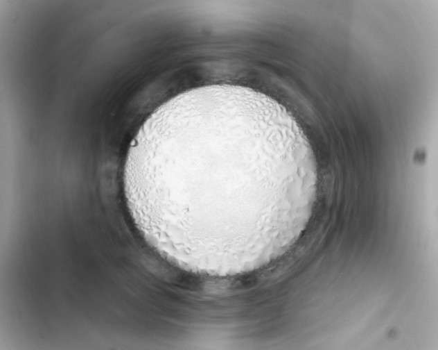 X0000103170757200809192116