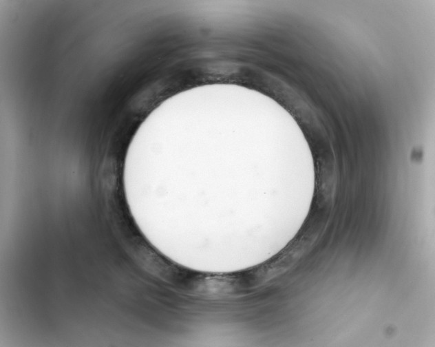 X0000103170758200809192116