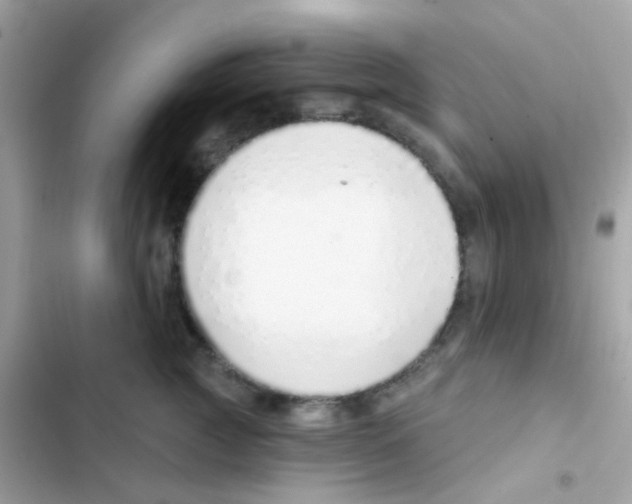 X0000103170761200809192116