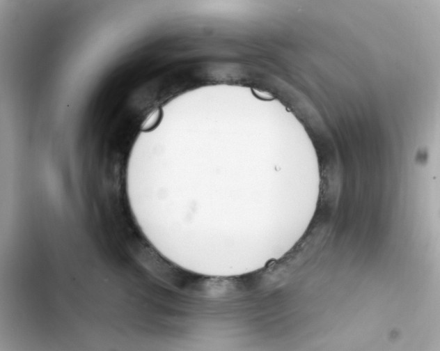 X0000103170762200809192116