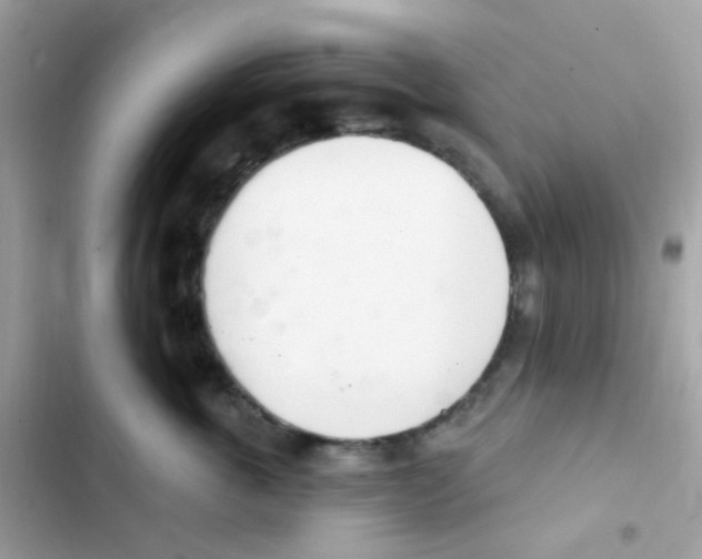 X0000103170763200809192116