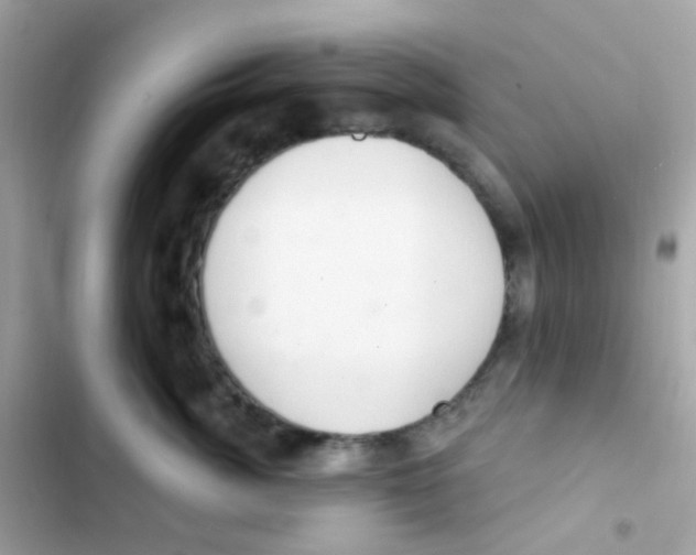 X0000103170764200809192116