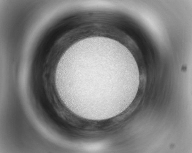 X0000103170765200809192116