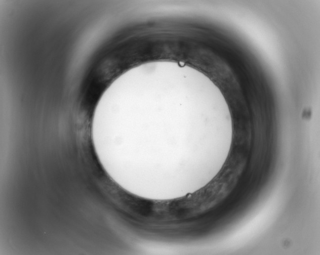 X0000103170766200809192116