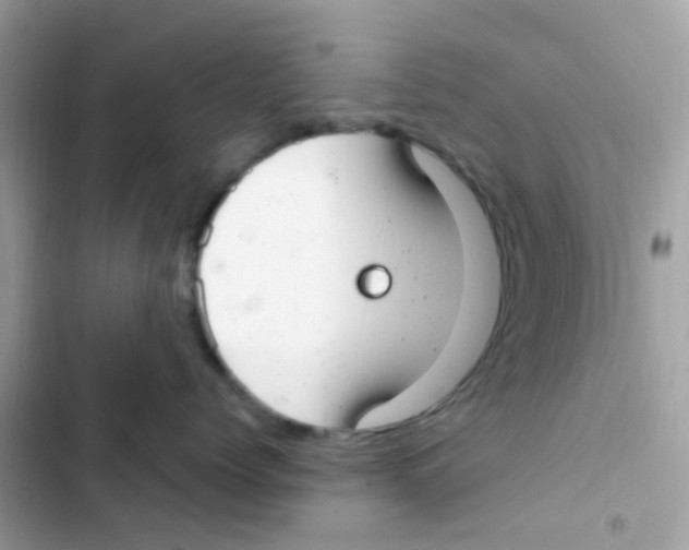 X0000103170768200809192117