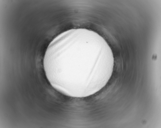 X0000103170770200809192116