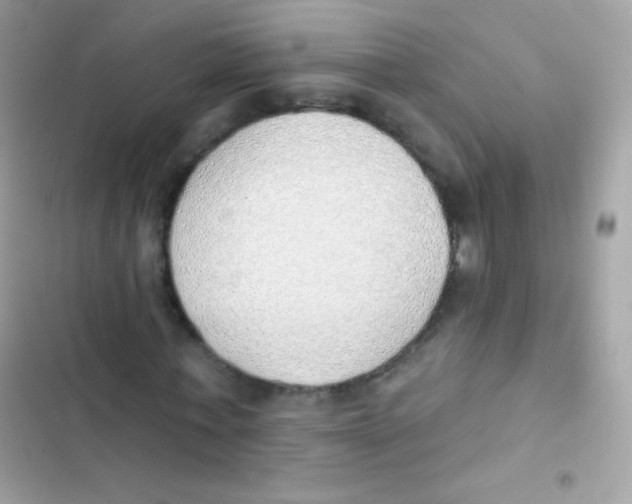 X0000103170771200809192116