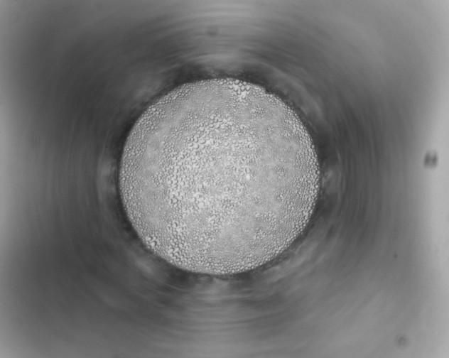 X0000103170772200809192116